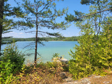 Load image into Gallery viewer, Cottage #6
